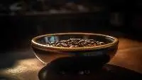 Pet Bowls
