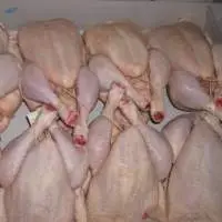 Top quality Frozen chicken