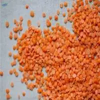 Wholesale Red lentil
