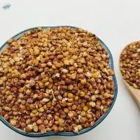 Wholesale Seeds Of Grain Sorghum