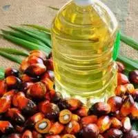 Top Quality Crude Palm Oil