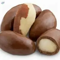 Wholesale High Quality Brazil Nut