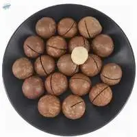 Good Quality Macadamia Nut
