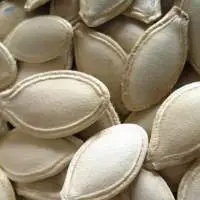 Roasted Pumpkin Seeds