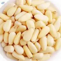 Top Grade Pine Nuts  