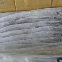 Frozen Ribbon Fish Supplier