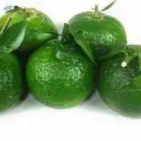 Fresh Green Orange