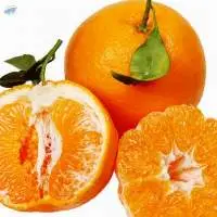 Fresh Sweet Mandarin Orange