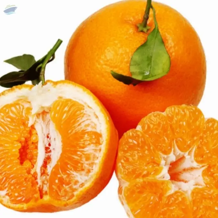 Fresh Sweet Mandarin Orange