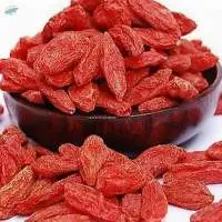 Selling Natural Goji Berry