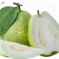 Fresh White/Pink Guava for Sale