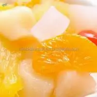Tropical Canned Mixed Fruits Cocktail