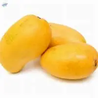 Cheap Price Fresh Mango Fruit