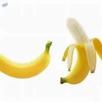 Fresh Banana Quality Assurance 100%