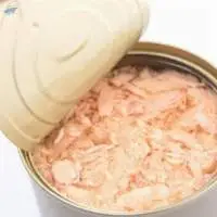 Selling Canned Tuna Fish