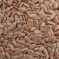 Brown Flaxseed