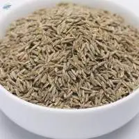 High Quality Spice Black Cumin Seeds