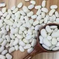 Selling White Kidney Beans