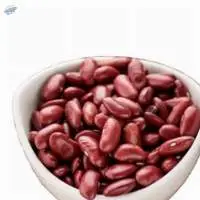 Top Quality Red Kidney Beans