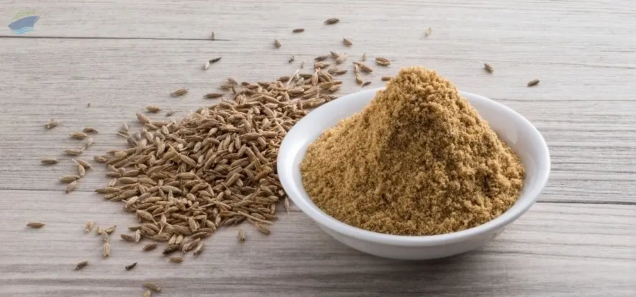 Cumin Seeds