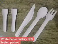 Paper Cutlery