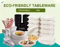 Disposable Cornstarch Tableware Set
