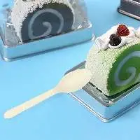 Compostable Biodegradable Disposable Spoon