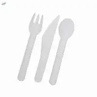 Eco-Friendly Disposable Cutlery For Parties
