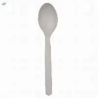 Disposable Biodegradable 6"CPLA Spoon Cutlery