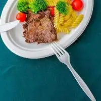 Eco-Friendly Tableware Biobased Flatware