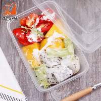 650ml Plastic Takeaway Disposable Food Container