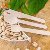 Disposable Ice Cream Spoon 75mm