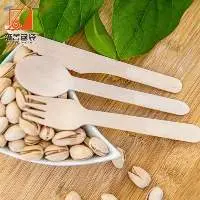 Disposable Ice Cream Spoon 75mm