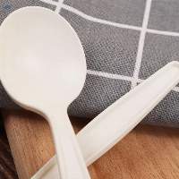 Cornstarch Soup Spoon Cutlery Set