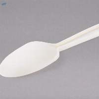 Disposable Biodegradable Ecofriendly Spoon
