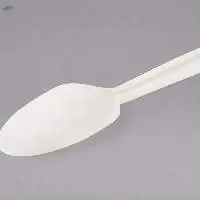 Disposable Biodegradable Ecofriendly Spoon