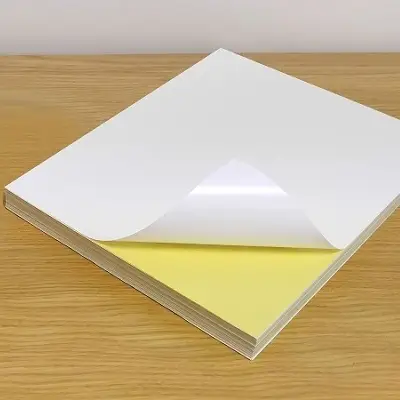 Printable Self Adhesive Vinyl Sticker by Derflex. Supplier from China ...