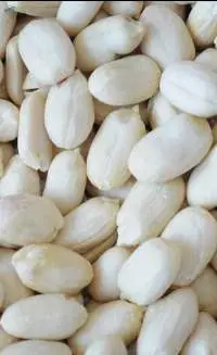 Peanut (Blanched)