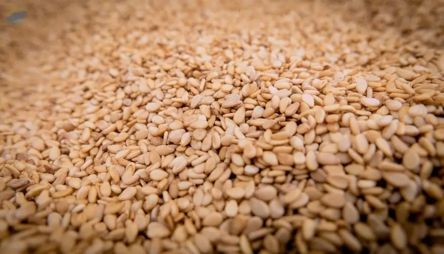 Sesame seeds
