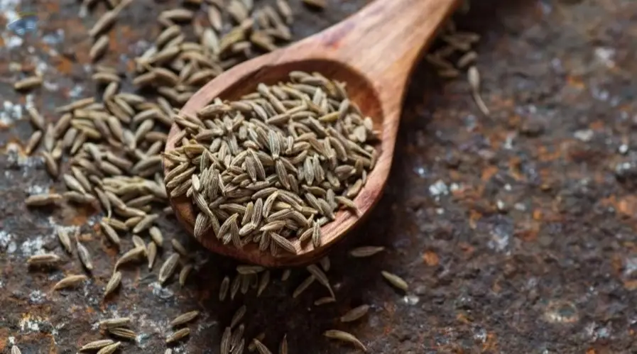 Cumin seeds