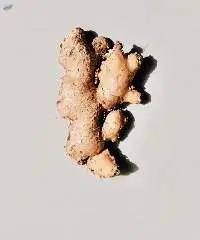 Ginger