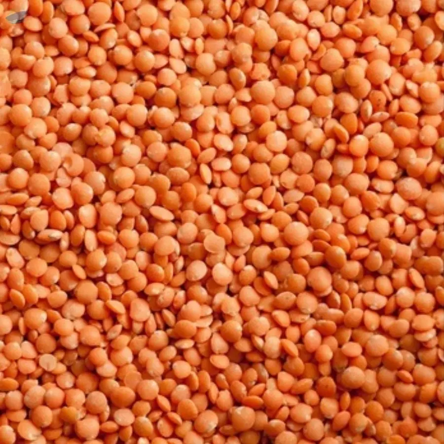 Pulses