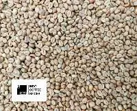Robusta Temanggung Green Beans Grade 1