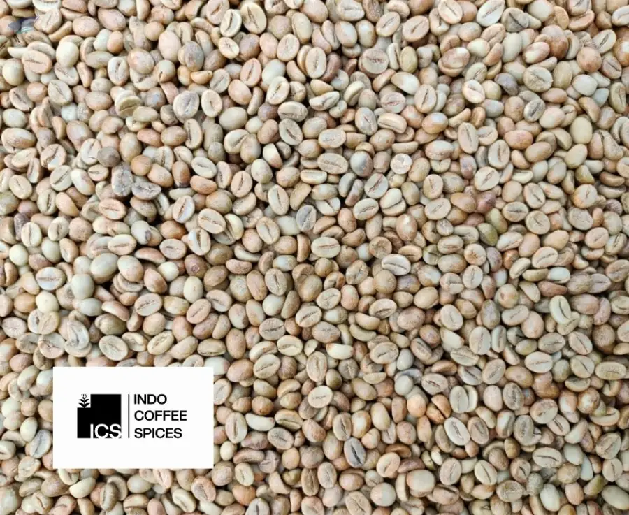 Robusta Temanggung Green Beans Grade 1