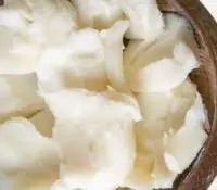 Cocoa Butter Substitute (CBS)