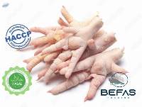 Frozen Chicken Paw/Feet