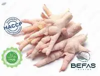 Frozen Chicken Paw/Feet
