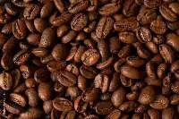 Robusta Green Coffee Beans