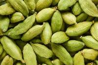 Indian Green Cardamom