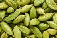 Indian Green Cardamom